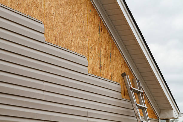 Professional Siding Repair technician working in Carson, WA